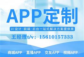 互助系統開發與信息技術咨詢服務 構建高效協作平臺